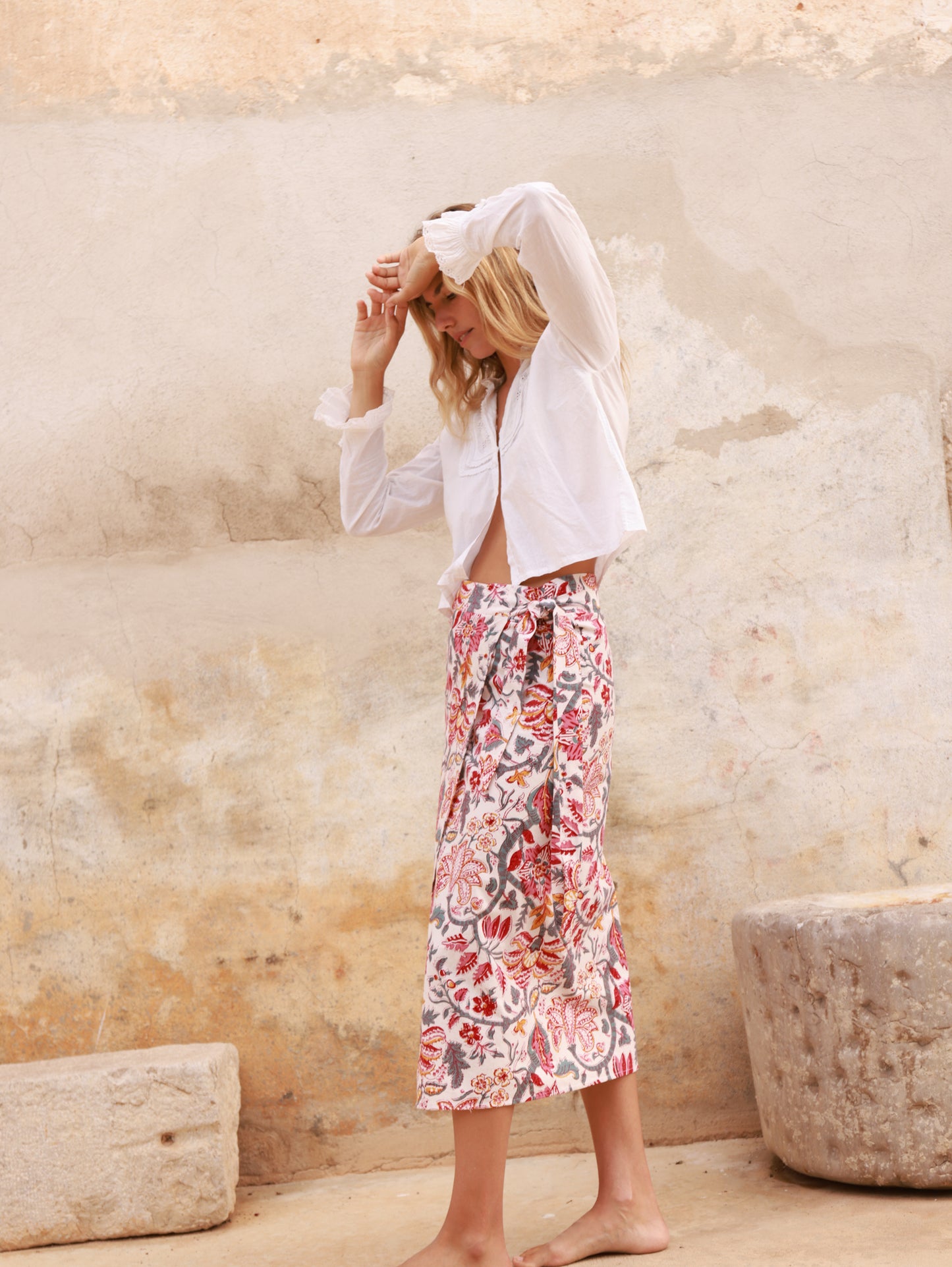 Hirondelle de Fenêtre