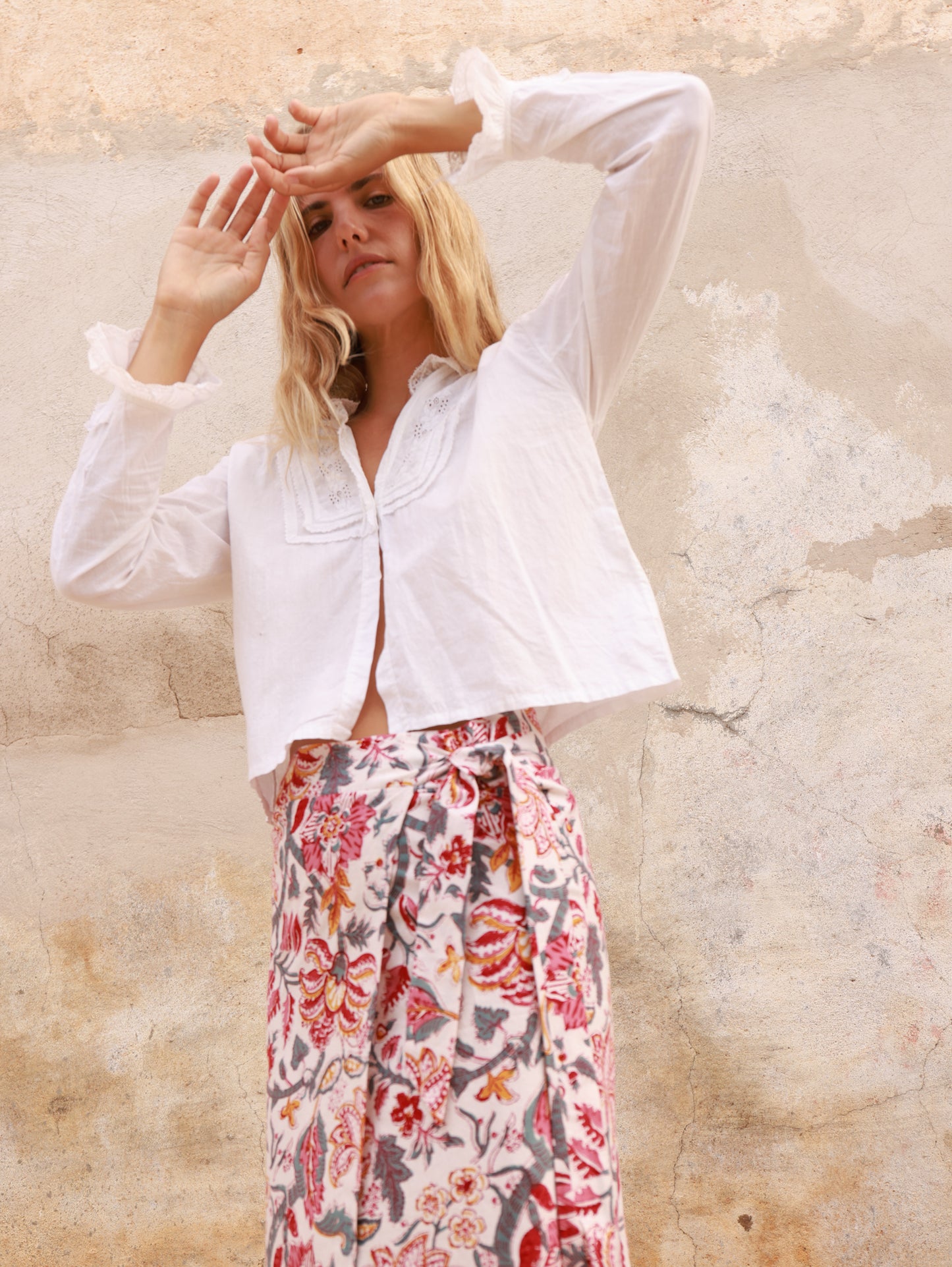 Hirondelle de Fenêtre