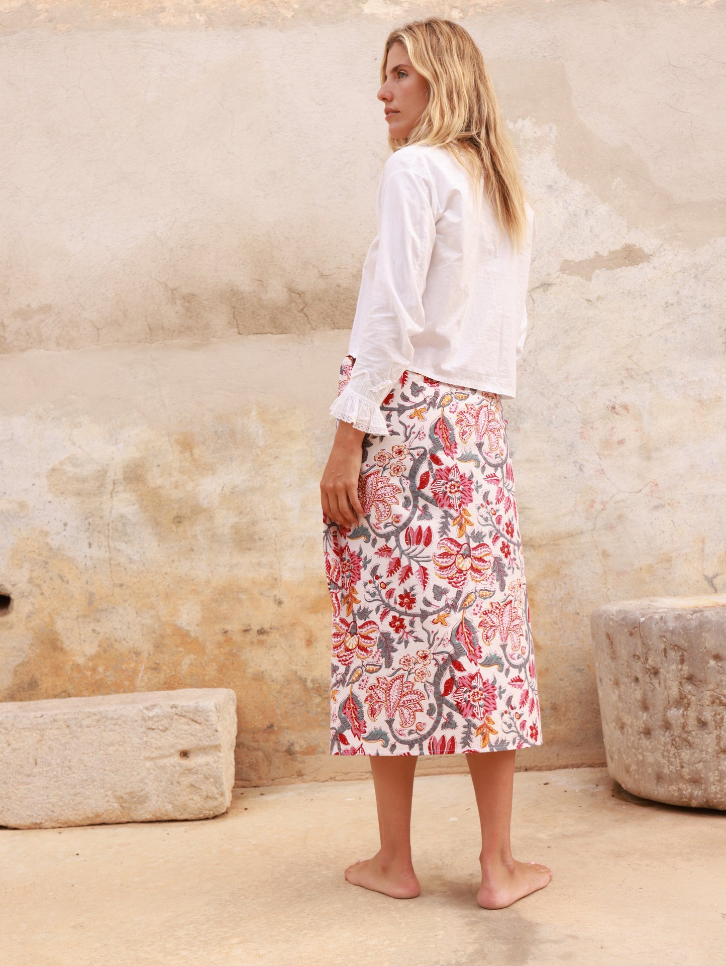 Hirondelle de Fenêtre