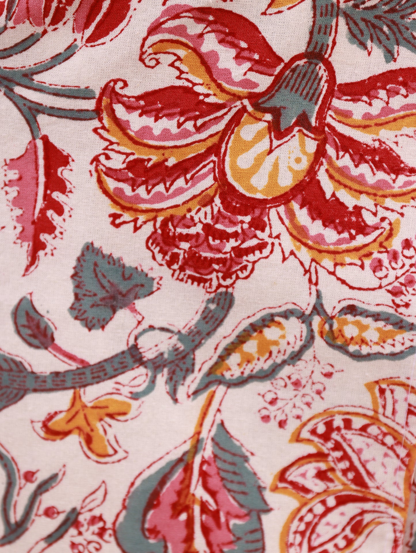 Hirondelle de Fenêtre